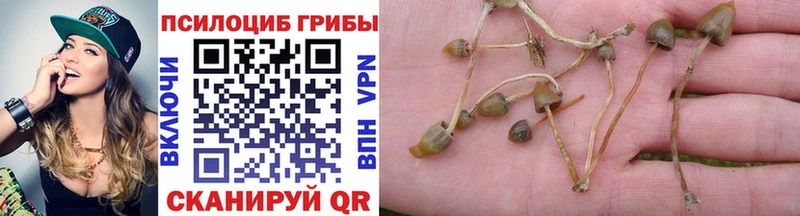 Галлюциногенные грибы Magic Shrooms  купить  цена  Богучар 